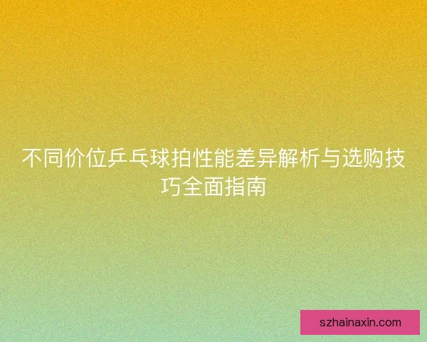 不同价位乒乓球拍性能差异解析与选购技巧全面指南