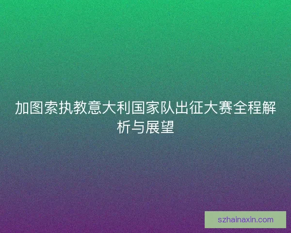 加图索执教意大利国家队出征大赛全程解析与展望